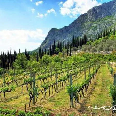 Modern Near Cavtat Apartamento