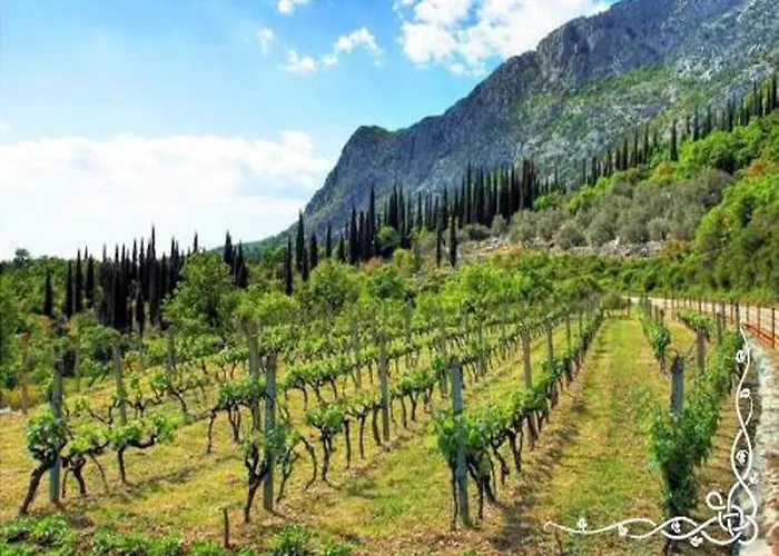 Modern Near Cavtat Διαμέρισμα